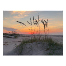 Amanecer en la playa - Vida en Isla Costera
