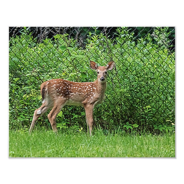 Foto Amanecer frente a una cerca (Frente)