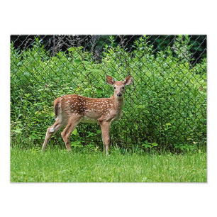 Foto Amanecer frente a una cerca