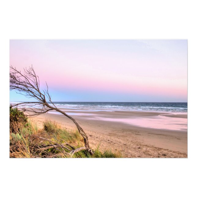 Foto Amanecer rosa (Frente)