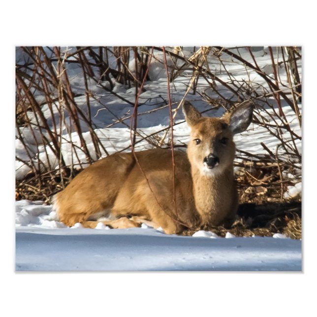 Foto Amanecer tendido sobre el césped (Frente)