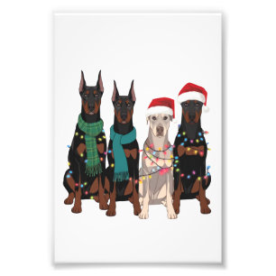 Foto Amante de Doberman en Navidad Perro Mamá Fiesta 