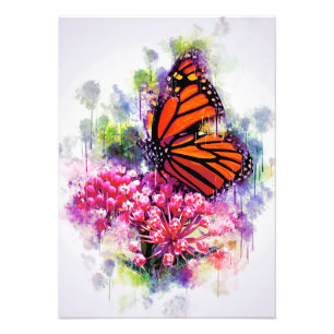 Foto Amante de la Mariposa Monarca Mariposa