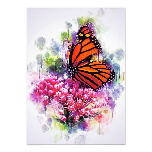 Foto Amante de la Mariposa Monarca Mariposa (Frente)