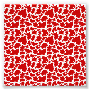 Foto Amantes de granjas de animales de color rojo de pi