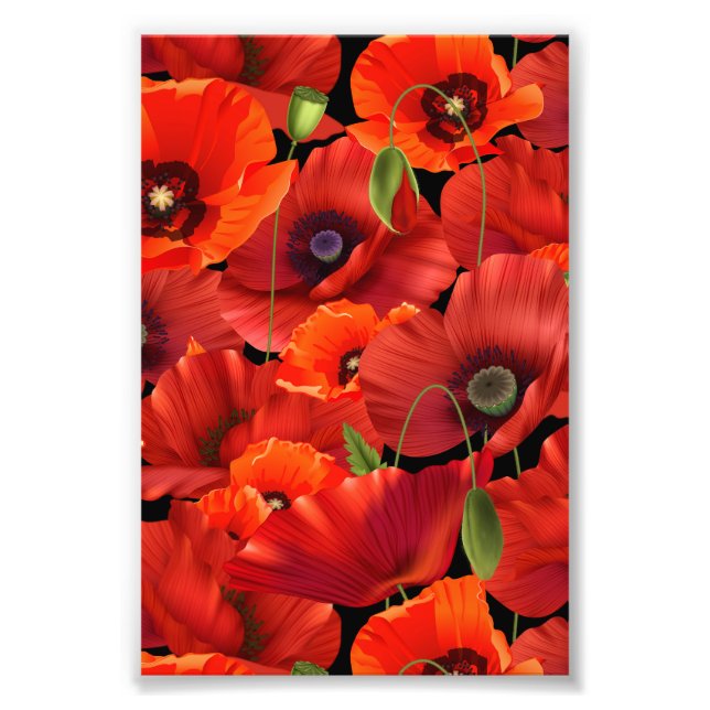 Foto Amapola (Frente)