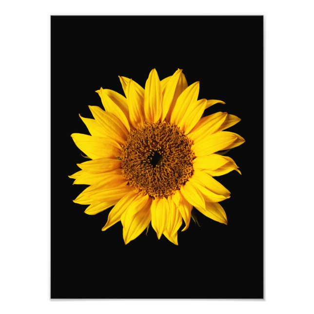 Foto Amarillo girasol en negro - Flores solares persona (Frente)