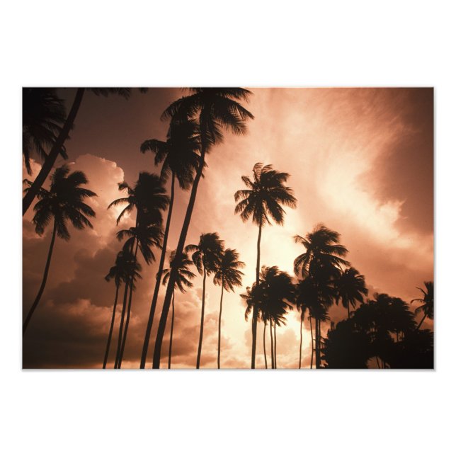 Foto Ambergris Caye, Belice, Centroamérica. 2 (Frente)