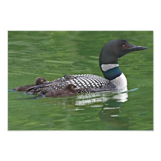Foto América del Norte, Canadá, Columbia Británica (Frente)