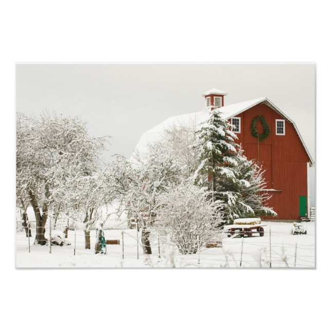 Foto América del Norte, EE.UU., WA, Isla Whidbey. (Frente)