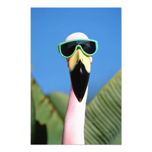 Foto América del Norte, Estados Unidos, California, San (Frente)