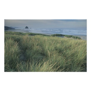 Foto América del Norte, Estados Unidos, Oregón, Playa C