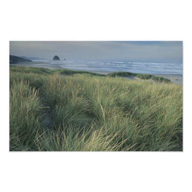 Foto América del Norte, Estados Unidos, Oregón, Playa C (Frente)