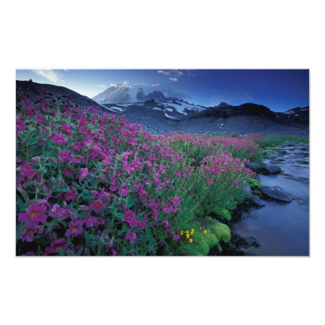 Foto América del Norte, Estados Unidos, Washington, Mon (Frente)