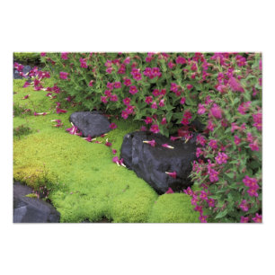 Foto América del Norte, Estados Unidos, Washington, Mon