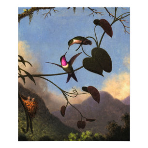 Foto Amethyst Woodstar por Martin Johnson Heade