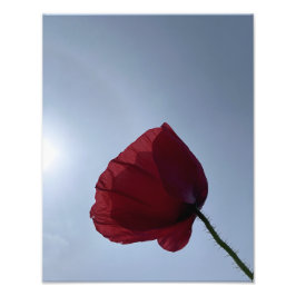 Foto Amigo rojo de Cornualles con cielo gris