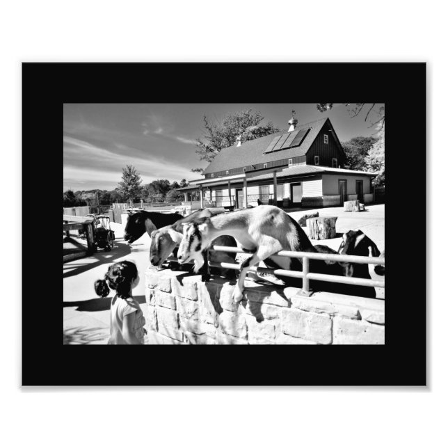 Foto Amigos (Frente)