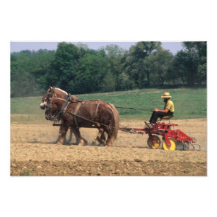 Foto Amish Country gente sencilla cultivando con