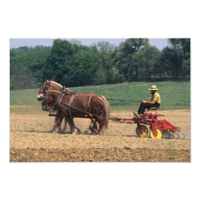 Foto Amish Country gente sencilla cultivando con (Frente)