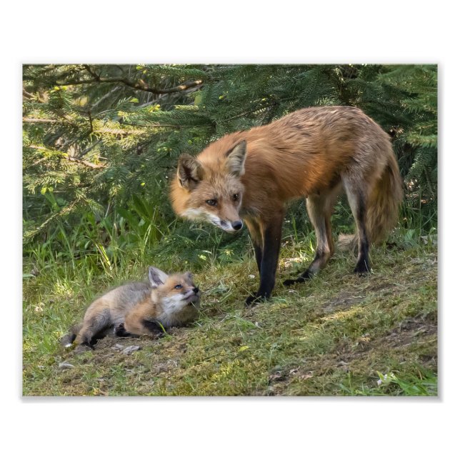 Foto Amo A Mi Mamá (Frente)