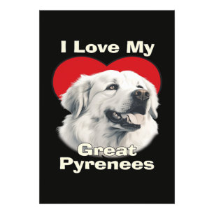 Foto Amo a mi perro Gran Pirineo