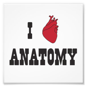 Foto Amo la anatomía