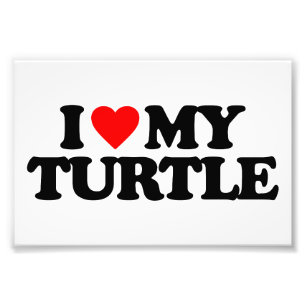 FOTO AMO MI TORTUGA