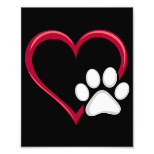 Foto Amor Corazón Perro Pata Día de San Valentín Amante