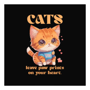 Foto amor de gatito lindo