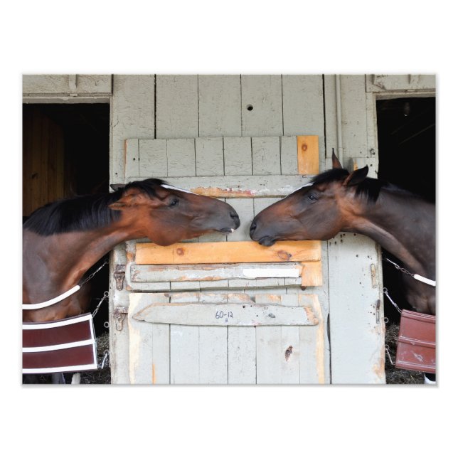 Foto Amor de Saratoga (Frente)