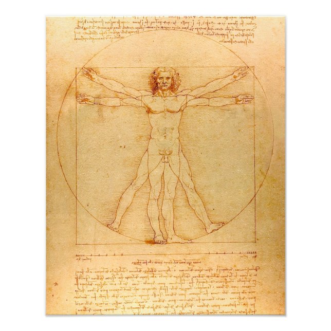 Foto Anatomía humana, hombre vitruviano de Leonardo da  (Frente)