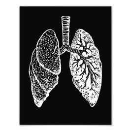 Foto Anatomía humana, pulmones negros y blancos