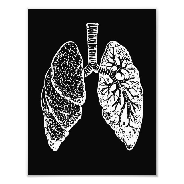 Foto Anatomía humana, pulmones negros y blancos (Frente)