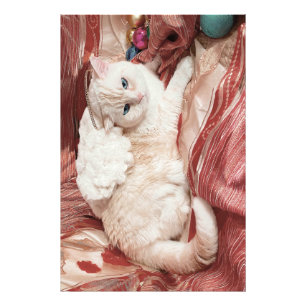 Foto Ángel Kitty