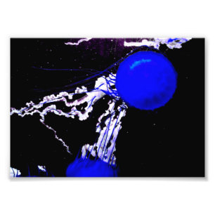 Foto "Ángeles azules"