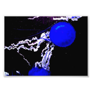 Foto "Ángeles azules"