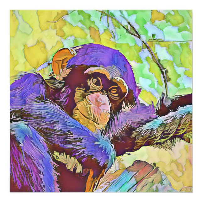 Foto animal inteligente - chimpancé 3 (Frente)