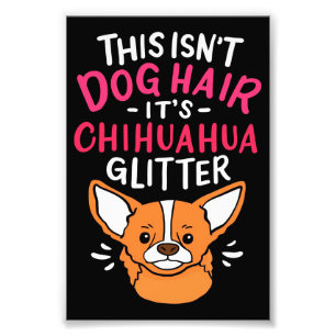 Foto Animales Canvas Wall Art Chihuahua Perro