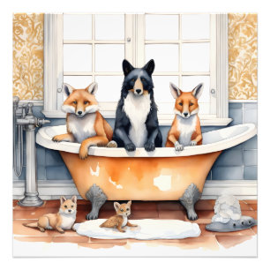 Foto Animales divertidos en baño