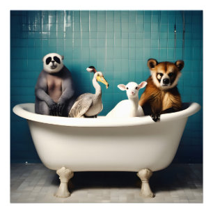 Foto Animales divertidos en el baño
