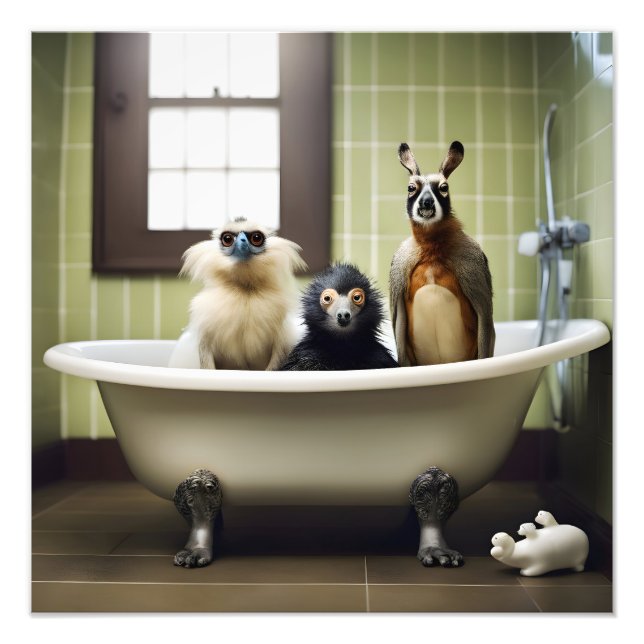 Foto Animales divertidos en el baño (Frente)