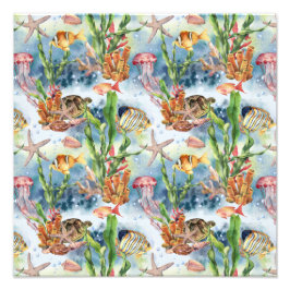 Foto Animales Marinos Coral Reef Pescado Jellyfish Alga