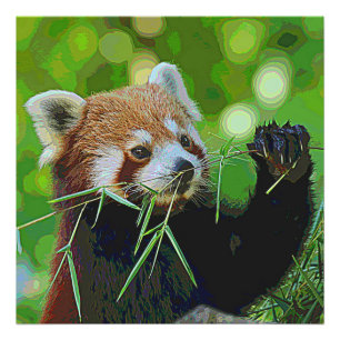Foto AnimalPaint_RedPanda_20171201_by_JAMColors