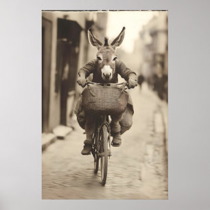 Foto Antiguo Arte De Burro Montando Bicicleta Anim