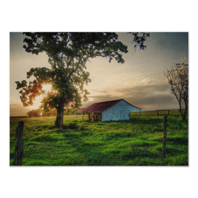 Foto Antiguo Shed (Frente)