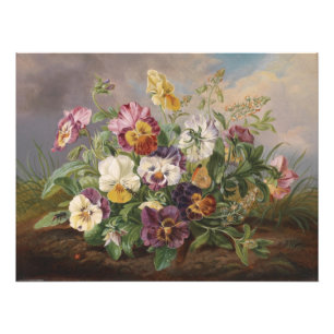 Foto Anton Mollis Vintage Pansy