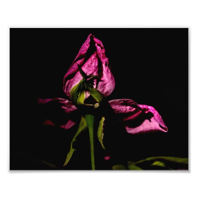 Foto Apagarse de las sombras (Frente)