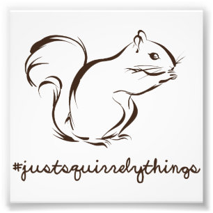 Foto Apenas ardilla de las cosas de Squirrely