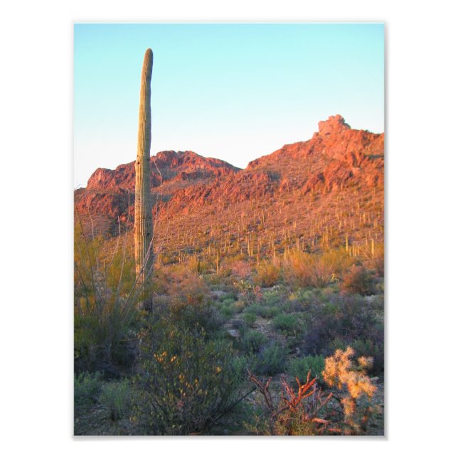 Foto Apertura del parque nacional de Saguaro (Frente)